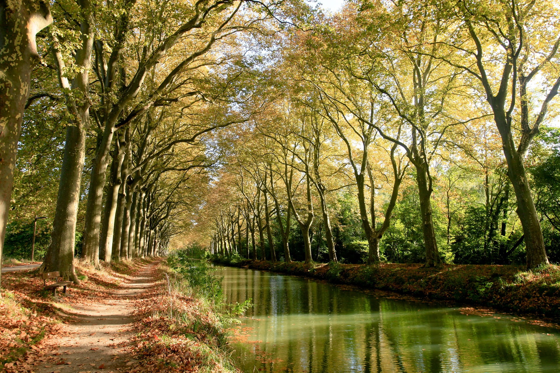 Canal du midi pour un clin d’œil sur Toulouse